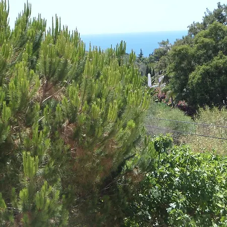Hébergement de vacances Tres Irmaos Carvoeiro (Lagoa)